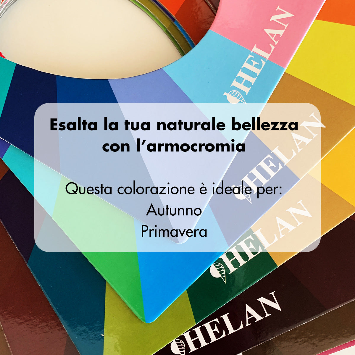 Bio Matita Sopracciglia Cacao